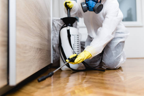 Best Ant Control Services  in Friona, TX