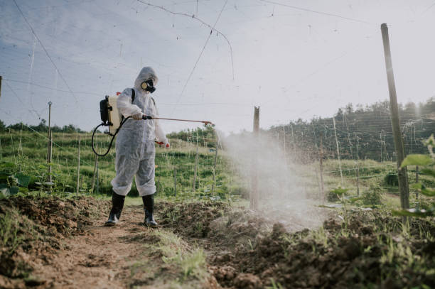 Best Pest Removal Services  in Friona, TX