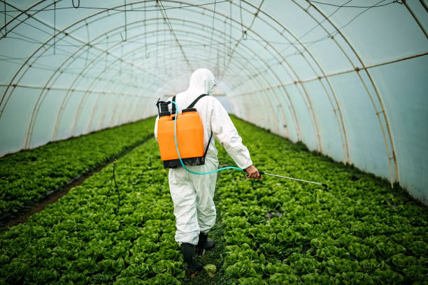 Best Local Pest Control Services  in Friona, TX