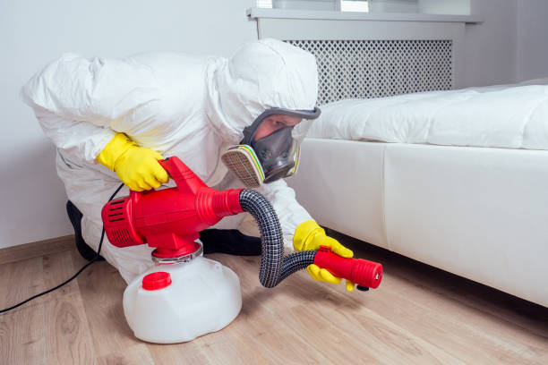 Best Bed Bug Extermination  in Friona, TX