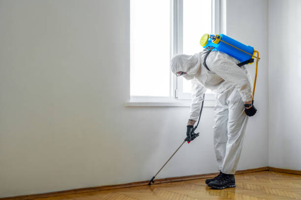 Best Pest Removal Services  in Friona, TX
