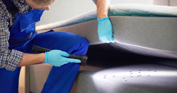 Pest Control Cost in Friona, TX