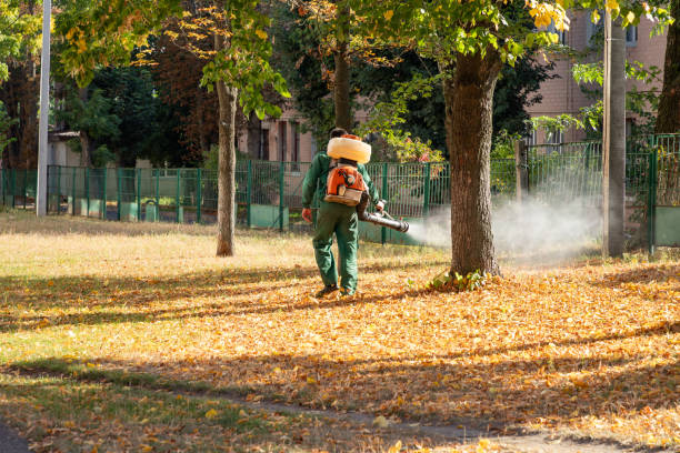 Best Local Pest Control Services  in Friona, TX