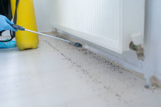 Best Best Pest Control Companies  in Friona, TX