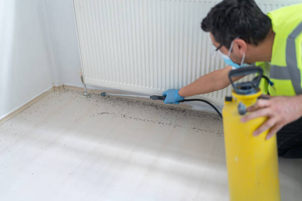 Best Wasp Removal Services  in Friona, TX