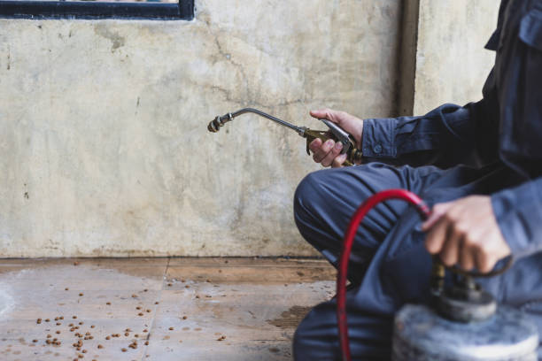 Best Pest Control Treatment  in Friona, TX
