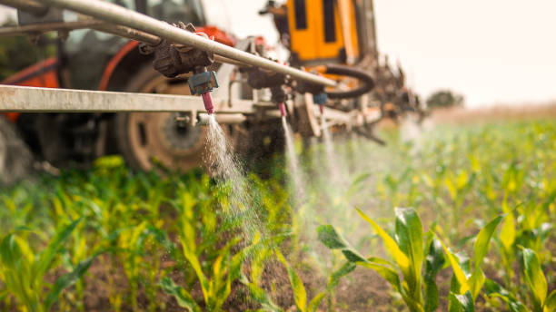 Best Affordable Exterminators  in Friona, TX